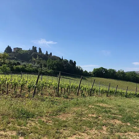 Casa Varna 甘巴西